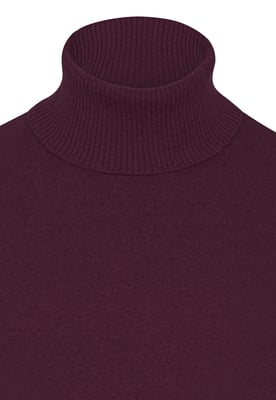 Pullover Rollkragenpullover