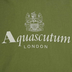 Aquascutum Herren Aktive Big Logo Hoodie (Grün)