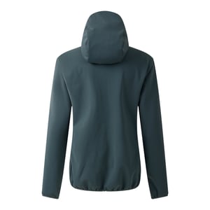 Dare 2B - "Iced" Softshelljacke für Damen (Grau)