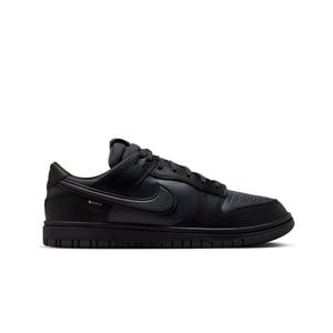 NIKE DUNK LOW GTX