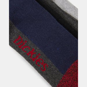 Dickies Socken CUSHION CREW SOCKS