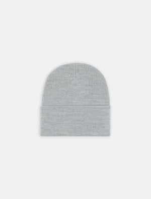 Dickies Mützen ACRYLIC CUFFED BEANIE