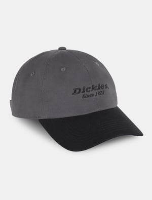 Dickies Mützen TWILL DAD HAT