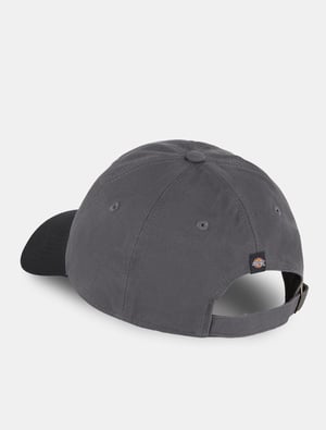 Dickies Mützen TWILL DAD HAT