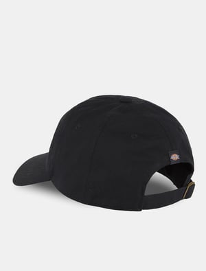 Dickies Mützen TWILL DAD HAT