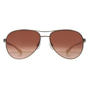 Ted Baker Aviator Unisex Schwarz Braun Gradient TB1271 Oliver