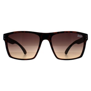 Superdry Square Herren Havanna Braun Kobe