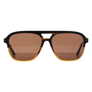 Ted Baker Aviator Herren Braun Horn Gradient Braun TB8259