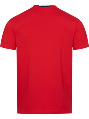 U.S. POLO ASSN. Herren Basic T-Shirt aus 100% Baumwolle