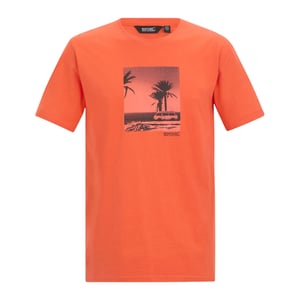 Regatta - "Cline IX" T-Shirt für Herren (Tigerlilien-Orange)