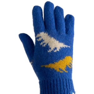 Trespass - Kinder Handschuhe "Casper" (Blau)