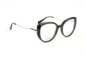 Ana Hickmann Brillenfassung HI6334T A01 51 Titan