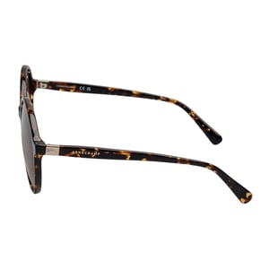 Damen Retro Runde Acetat Sonnenbrille LO694S