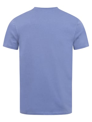 U.S. Polo Assn. Herren Basic T-Shirt aus 100 % Baumwolle