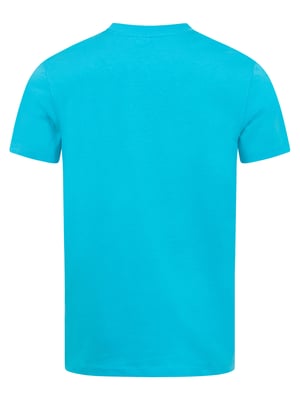 U.S. Polo Assn. Herren Basic T-Shirt aus 100 % Baumwolle
