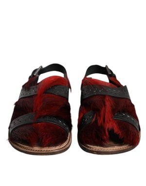 Dolce & Gabbana Schwarze Rote Gazelle Haarleder Sandalen Schuhe