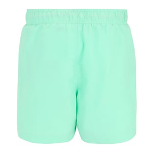 Regatta - "Mawson II" Badeshorts für Herren (Eisgrün/Sonic-Blau)