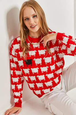 Musterpullover mit dickem Strick und Rundhalsausschnitt