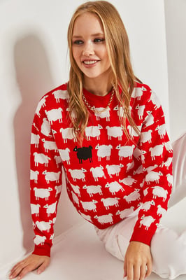 Musterpullover mit dickem Strick und Rundhalsausschnitt
