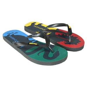Harry Potter - "Hogwarts Houses" Flipflops für Herren/Damen Unisex (Bunt)