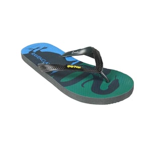 Harry Potter - "Hogwarts Houses" Flipflops für Herren/Damen Unisex (Bunt)