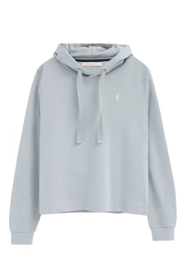 Sweatshirt hellblau im Regular Fit mit Kapuze und Rigby Go Logo