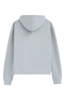 Sweatshirt hellblau im Regular Fit mit Kapuze und Rigby Go Logo