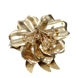 Miu Miu Gold Metallbrosche