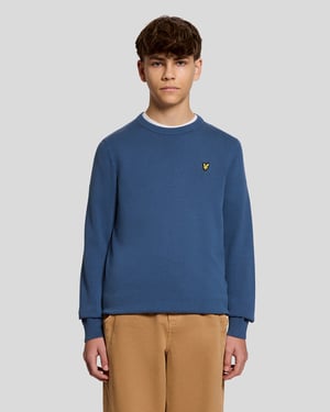 Baumwoll-Pullover mit Rundhalsausschnitt