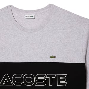 Lacoste - T-Shirt für Herren, Dicke Baumwolle, Anliegend (Grau)