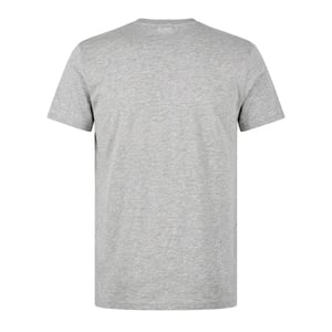 Lacoste - "Pima" T-Shirt für Herren, V-Ausschnitt, Leicht (Silbergrau)