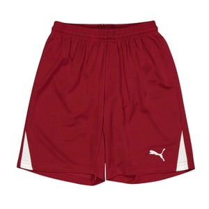 Puma - Shorts für Kinder , Fußball (Burgunderrot)