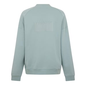 Hugo Boss - "Delastcrew" Sweatshirt für Herren, Raglanärmel, Raglanärmel (Pastellgrün)