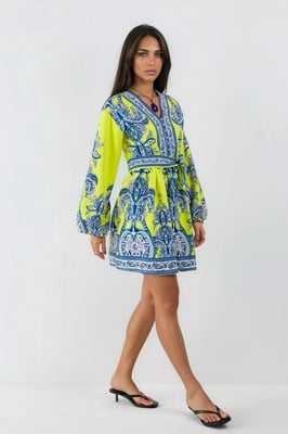 V-Ausschnitt Paisley A-Linie Mini-Kleid mit Knöpfen