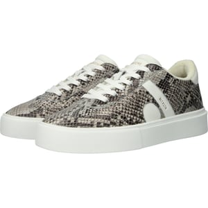 QUARTZ AUDEN - EL280 Snake Grey - Sneaker (niedrig)