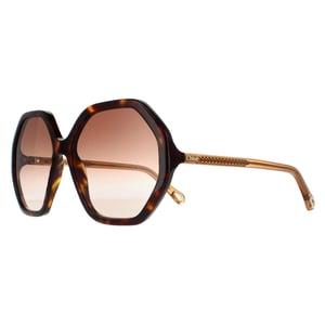Chloe Round Womens Dark Havana and Brown Crystal Brown Gradient CH0008S Esther