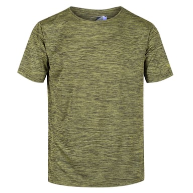 Regatta - "Fingal Edition" T-Shirt für Herren (Grün)