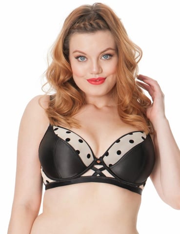 Scantilly Showtime Padded Bra