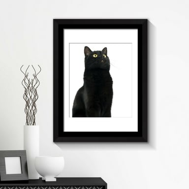 Combo of Framed Art 2in1 Cute Black Cat Poster Framed Photo, Framed Art