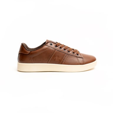 Pinguin Steadman Trainer