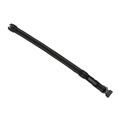 Regatta Stripe Hundehalsband (Schwarz)