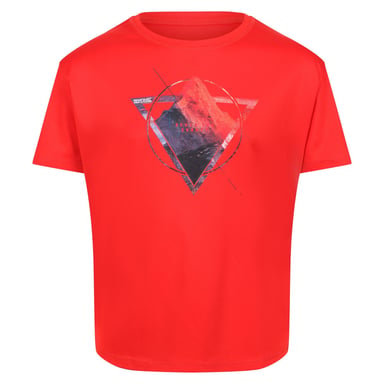 Regatta Kinder/Kinder Alvarado VI Mountain T-Shirt (feuerrot)