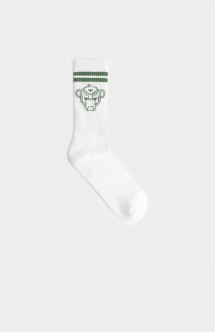 Black Bananas Stage 2 Socken, Grün