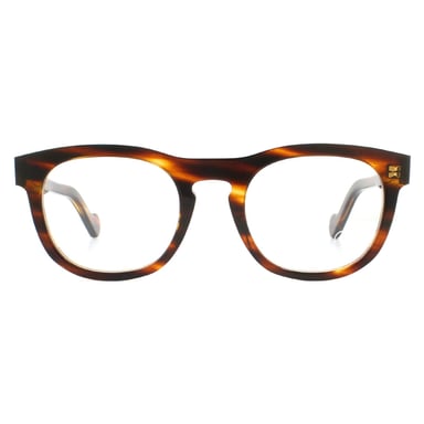 Moncler Runde Havanna Herren Brille Frames