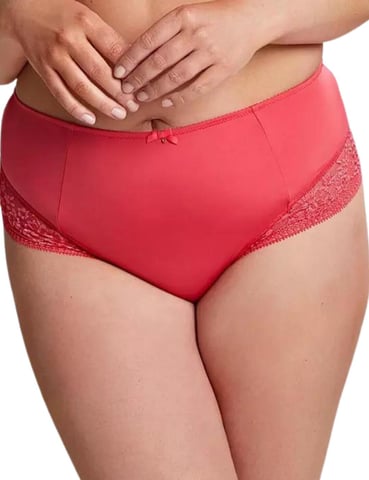 Sculptresse by Panache Roxie High Waist Brief