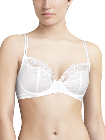 Shadows Underwired Covering Bra