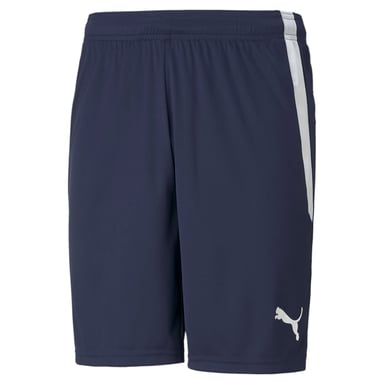 PUMA Mens teamLIGA Football Shorts