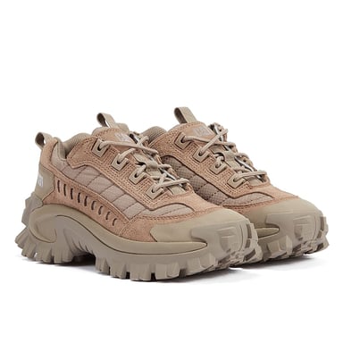 Raupe Eindringling Fungi Trainer