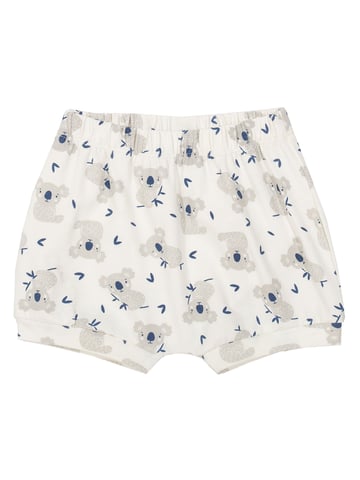 Kite Clothing Little Joey Shorts