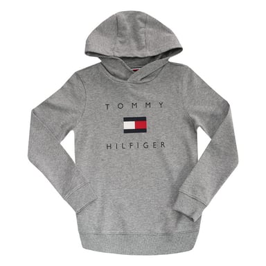 Sweat capuche Logo poitrine